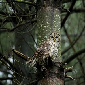 Meet your Posher, Barbara